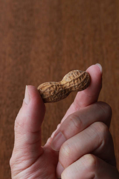 Ilustração minimalista do signo de Câncer, com um caranguejo sobre fundo bege