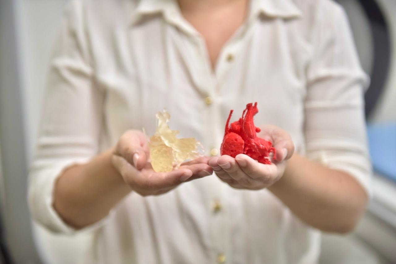 Foto - Impressão Coração 3D (3)