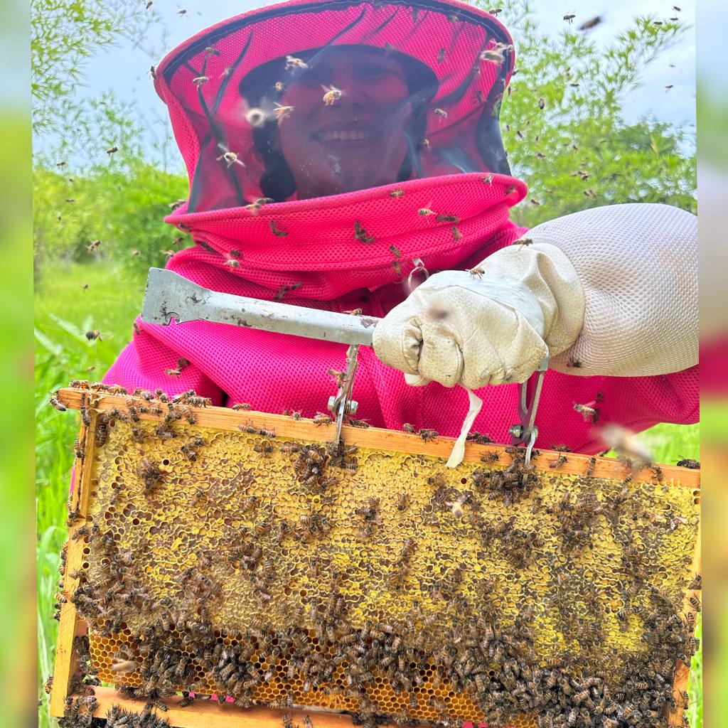 Erva-mate seca espalhada em colher e em mesa da madeira