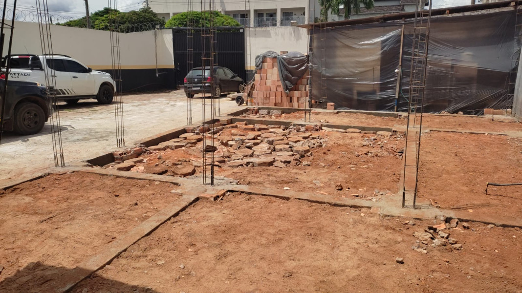 Pika-de-Ili em cima de uma pedra em uma floresta
