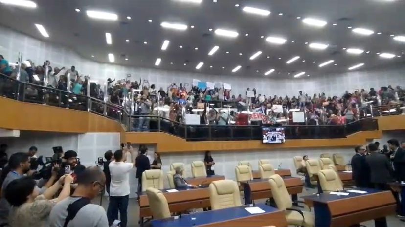 Três formigas gênero Atta em cima de uma folha verde