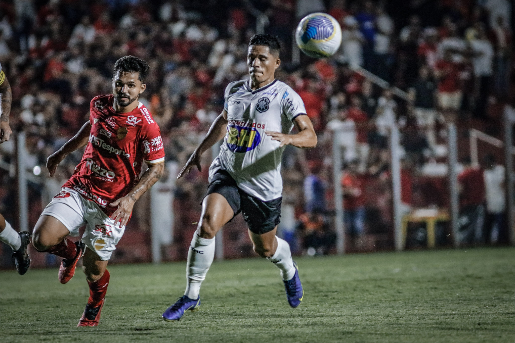 Imagem ilustrativa do signo de Touro com um touro robusto de chifres curvados