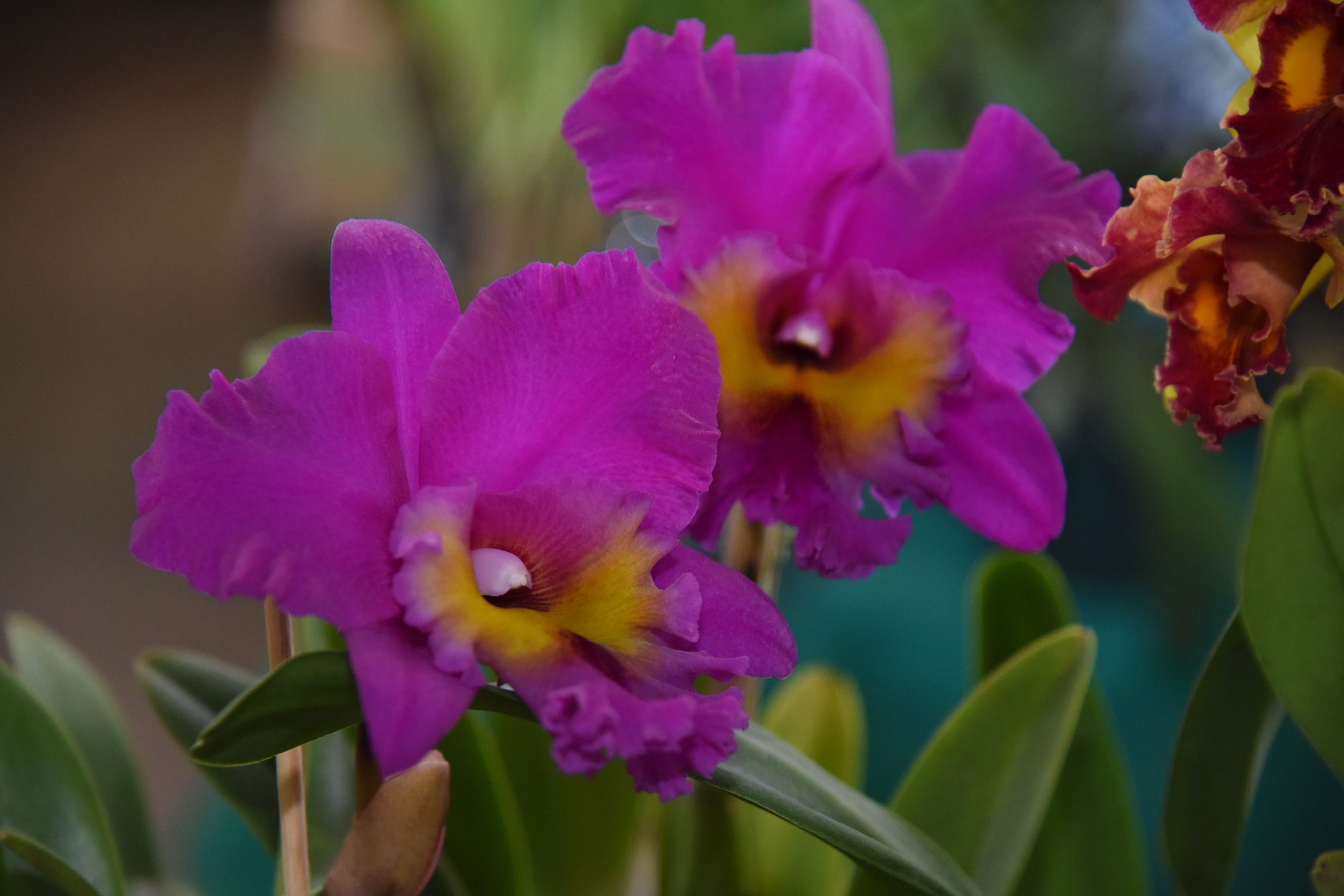 Sala com parede feita de vidro e luz natural entrando no ambiente