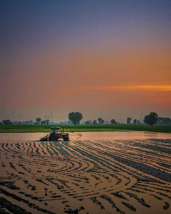 Mulher bebendo copo de água na cozinha 