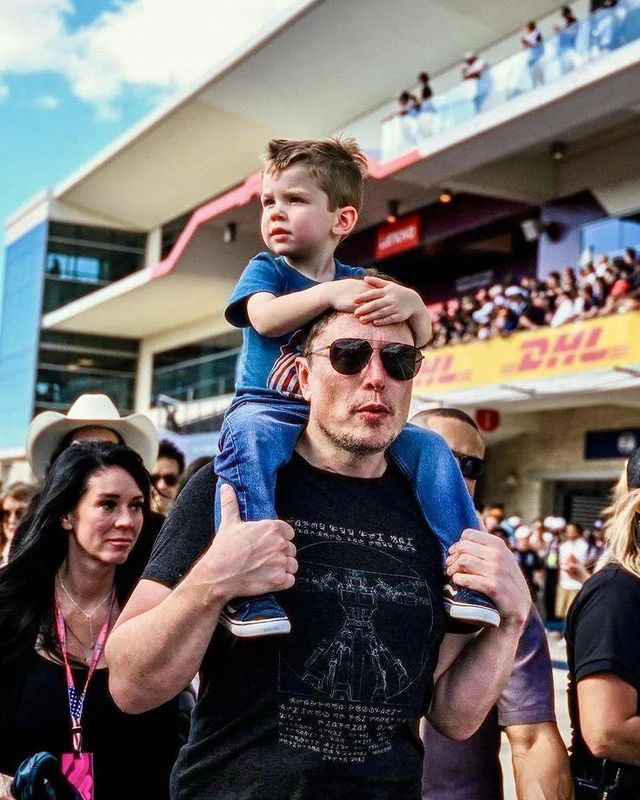 Capa do livro "Dentro do pote", com dois coelhos brancos no meio de uma floresta densa e colorida, cercados por folhagens verdes