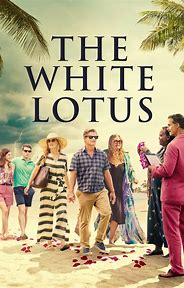 Cachorro farejando um tapete