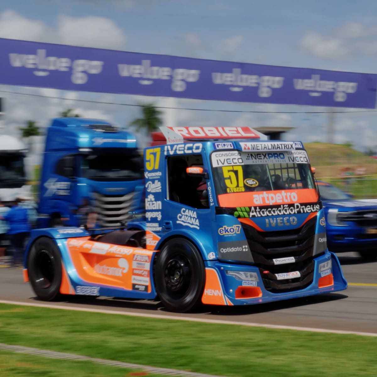 Prato branco com dois filés de tilápia assados ao lado de pedaços de pimentões e polvilhado com cebolinha 