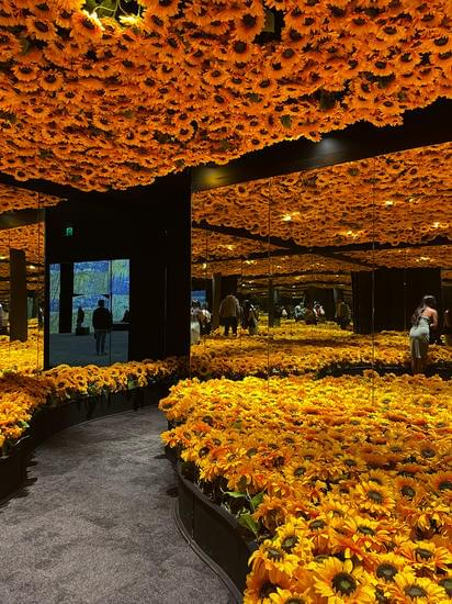 arara-vermelha com penas vermelhas, verdes e azuis em tronco de árvore