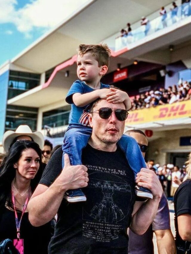 Capa do livro "Este livro é meu!", com fundo amarelo vibrante e um caranguejo rabugento segurando uma placa com o título da obra