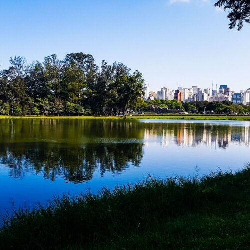 lago parque ibirapuera corpo nu cadaver