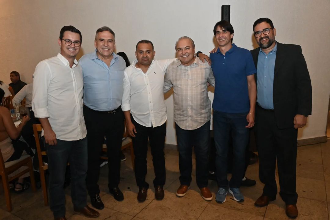 Capa de livro branca com título e nome do autor, e peças de quebra-cabeça coloridas