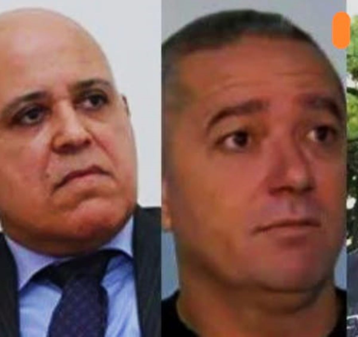 Imagem de um cachorro da raça bearded collie deitado em uma tapete 