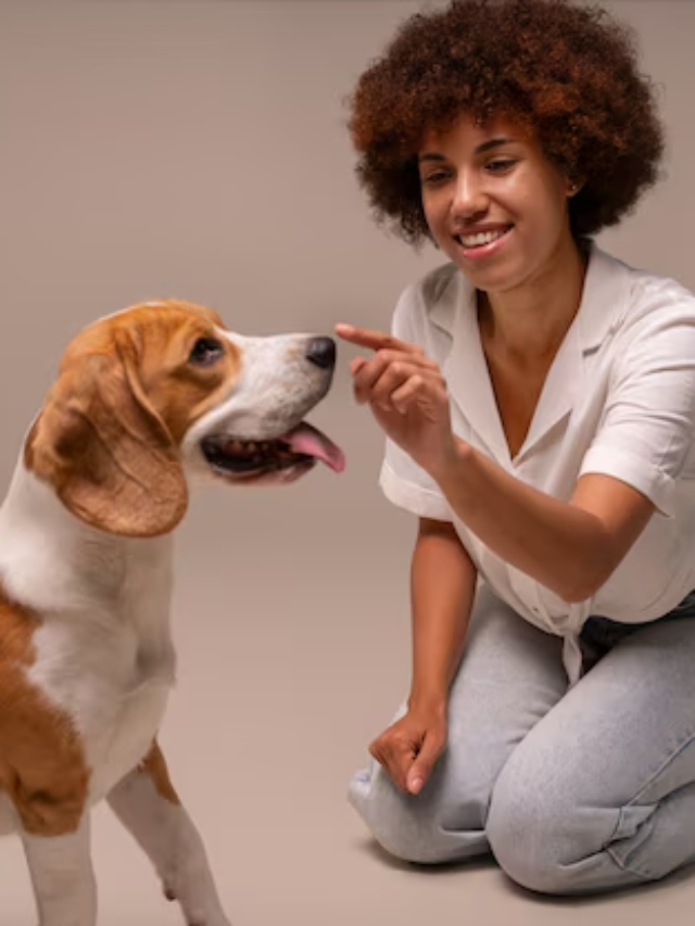 Ilustração de um leão em um círculo branco sobre um fundo marrom-claro