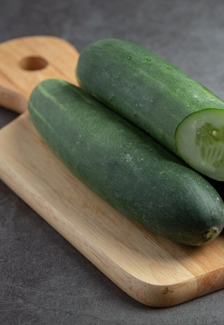 Ilustração do signo de capricórnio em um fundo verde-claro