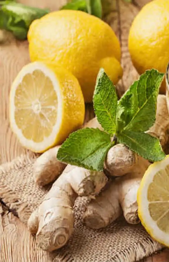 Ilustração do signo de leão em um fundo verde-claro