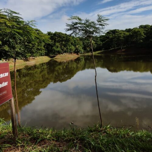 Amma destaque que soltura de peixes e outros animais em lagos de parques da capital é proibida. Foto: Amma