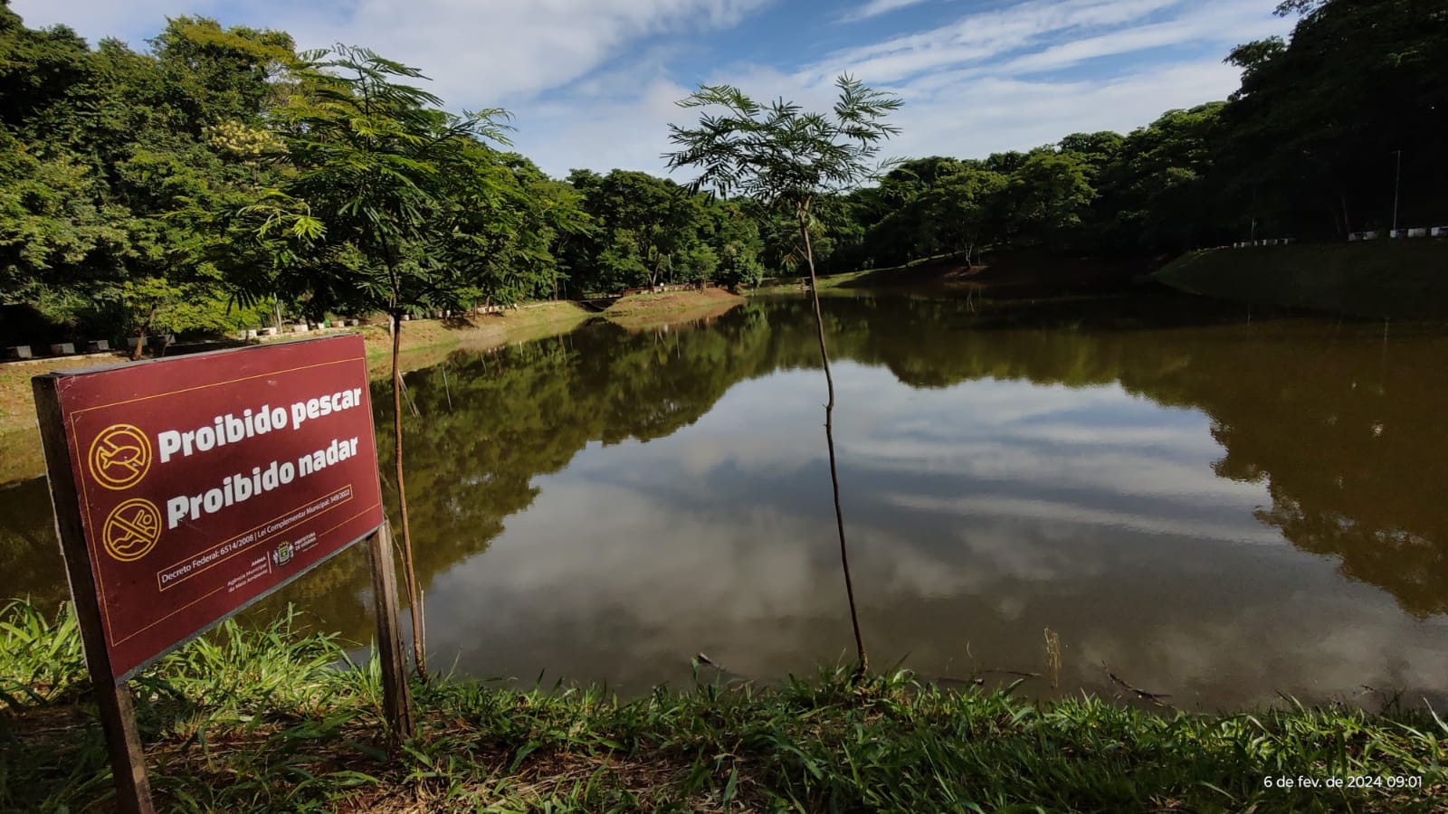 Amma destaque que soltura de peixes e outros animais em lagos de parques da capital é proibida. Foto: Amma