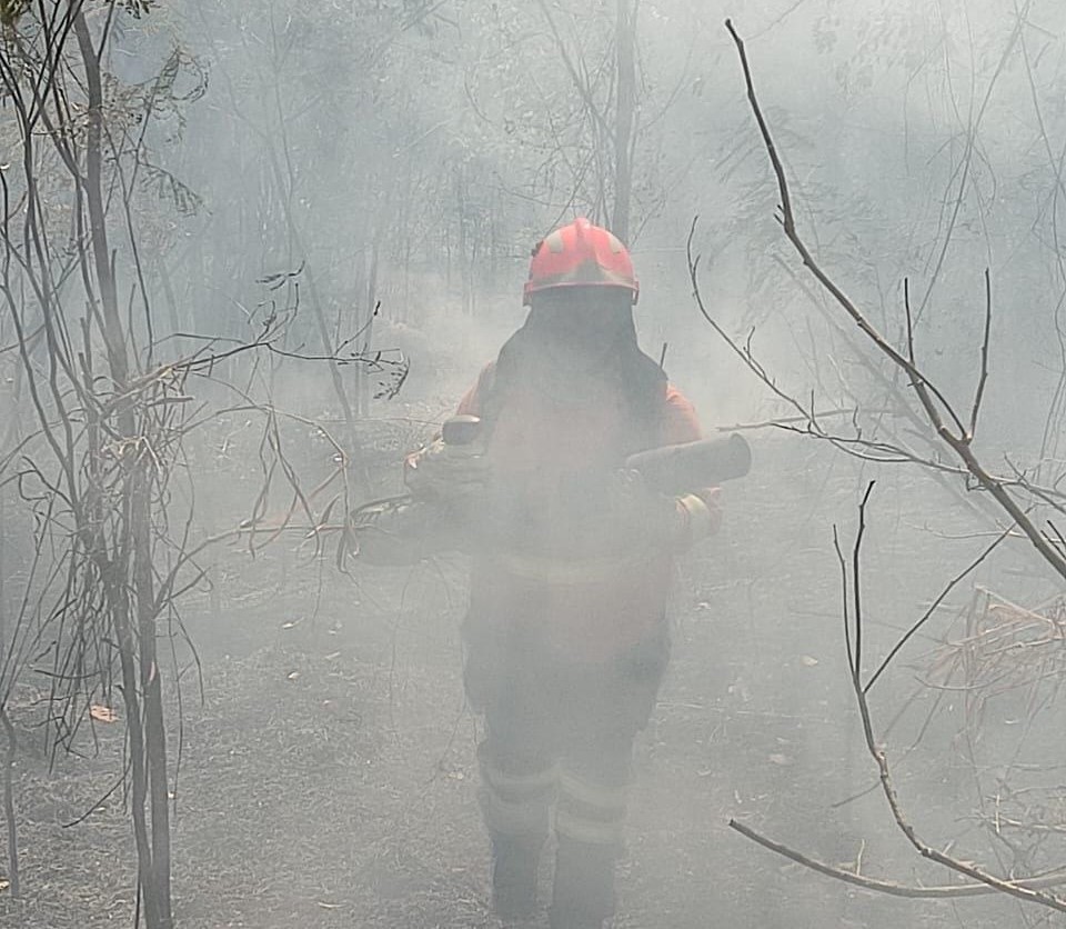 Bombeiros combatem terceiro foco de incendio no Parque Nacional da Chapada dos Veadeiros. Foto: CBMGO