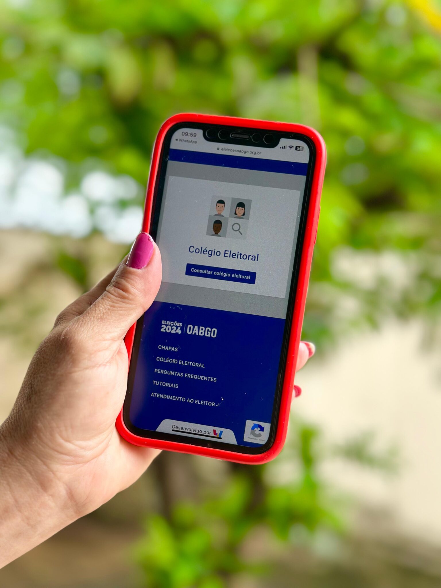 Votação on-line da OAB-GO. Foto: Divulgação