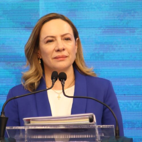 Adriana Accorsi intergrará grupo de trabalho da segurança pública, do governo federal. Foto: Divulgação