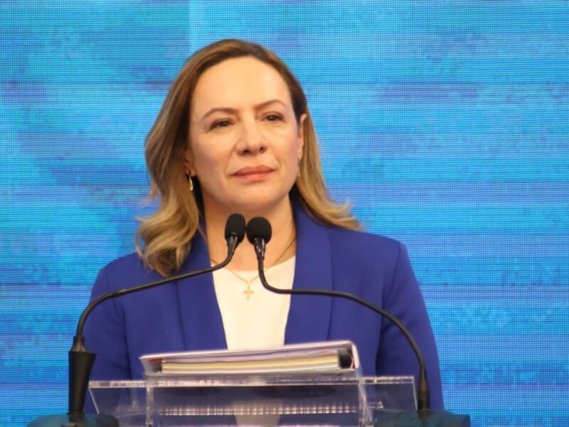 Adriana Accorsi intergrará grupo de trabalho da segurança pública, do governo federal. Foto: Divulgação