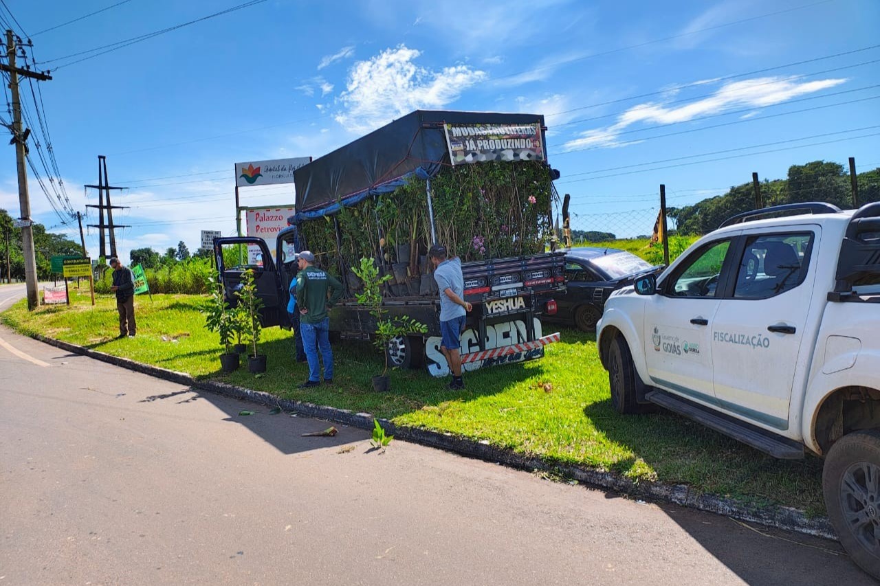 Agrodefesa fiscaliza comércio ilegal de mudas de plantas. Foto: Divulgação/Agrodefesa