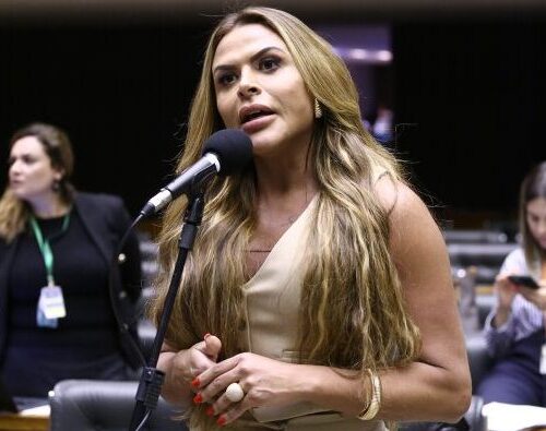 Silvye Alves no plenario da camara dos deputados. Foto: Vinicius Loures/ Camara dos Deputados