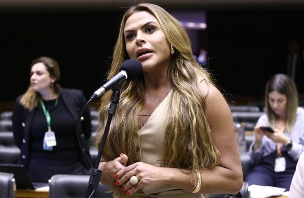 Silvye Alves no plenario da camara dos deputados. Foto: Vinicius Loures/ Camara dos Deputados