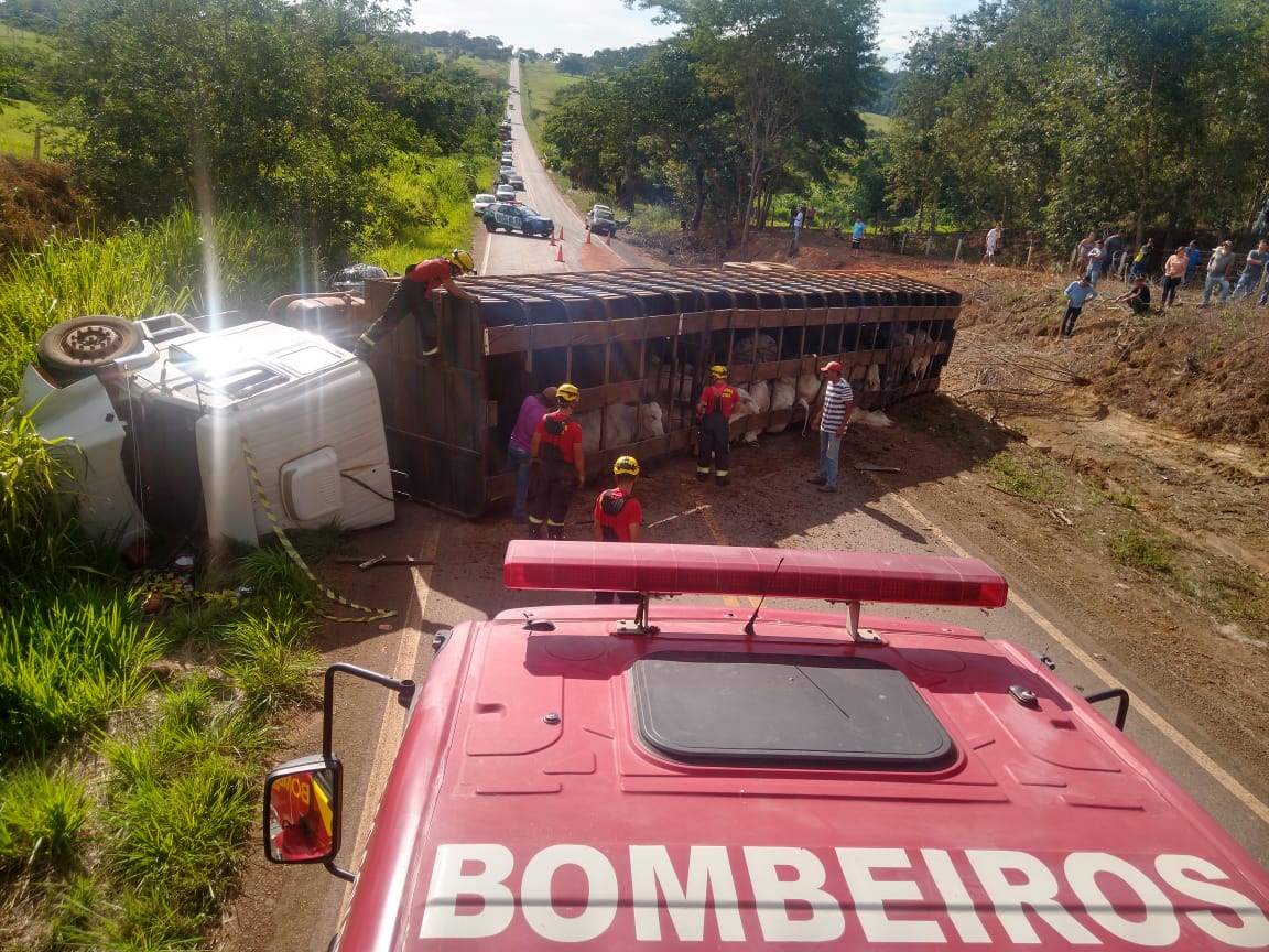 acidente com caminhão que carregava gado na GO-222. Foto: CBMGO