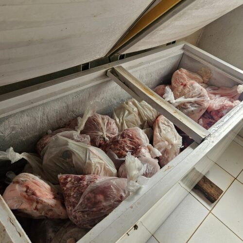 Carne apreendida em abatedouro clandestino de suínos em Aragoiania. Foto: Agrodefesa
