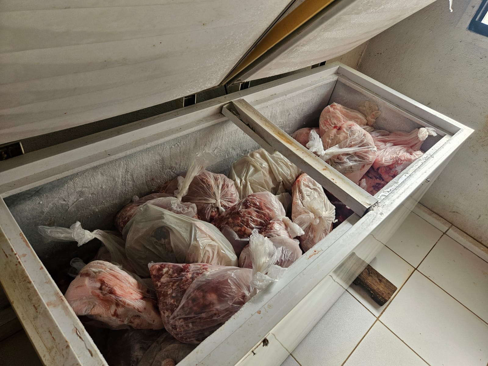 Carne apreendida em abatedouro clandestino de suínos em Aragoiania. Foto: Agrodefesa