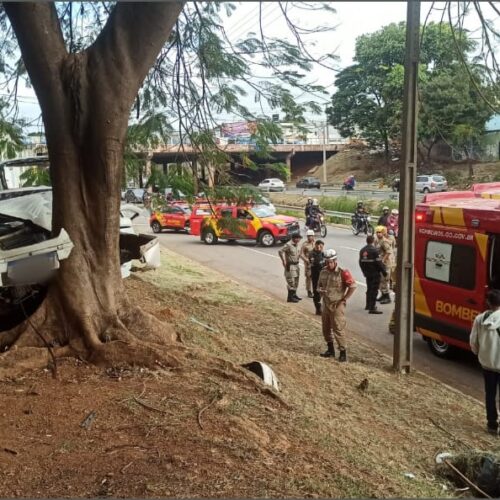 carro bate de frente a uma árvore na marginal botafogo_CBMGO