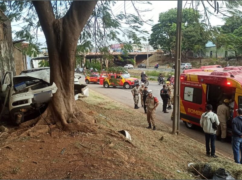 carro bate de frente a uma árvore na marginal botafogo_CBMGO
