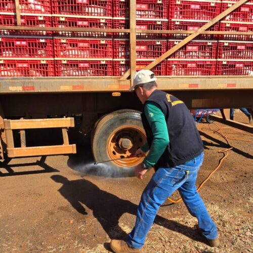Ações da Agrodefesa para contenção da gripe aviária. Foto: Agrodefesa