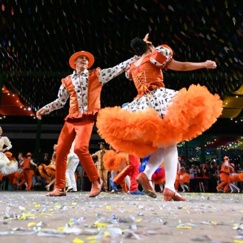 grande arraial de goiânia