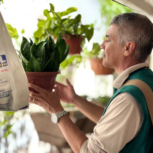 Ações de combate à dengue. Foto: SMS