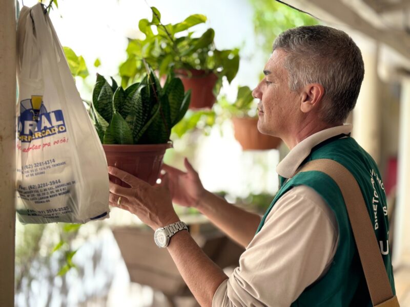 Ações de combate à dengue. Foto: SMS