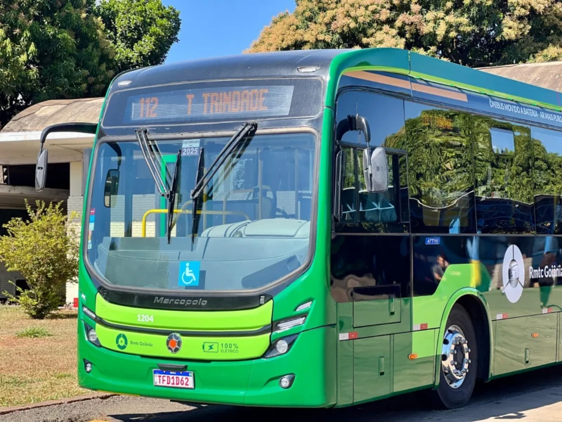 WhatsApp Image 2025-07-01 at 17.22.32