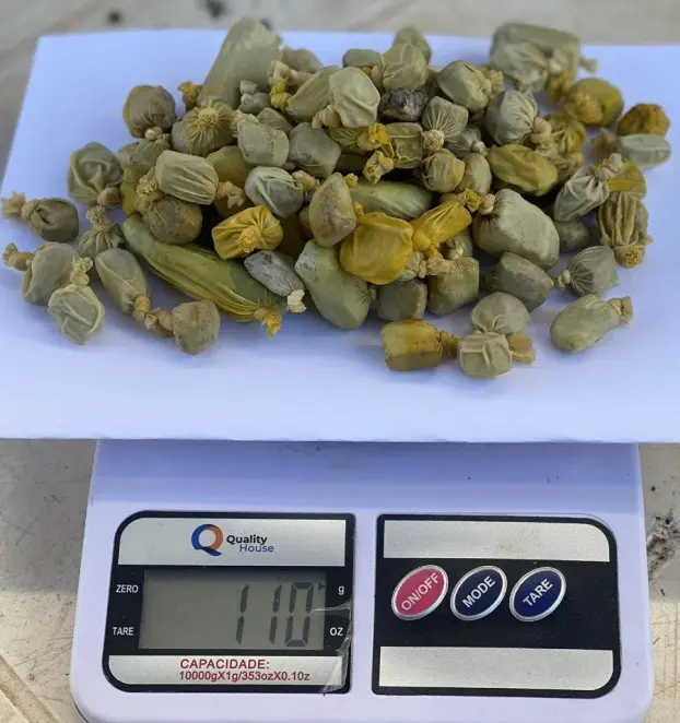 droga-apreendida_Policia-Penal