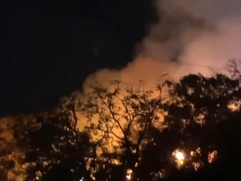 Chamas altas em vegetação foram combatidas pelos bombeiros na noite de sábado Foto reprodução de vídeo Portal Zap