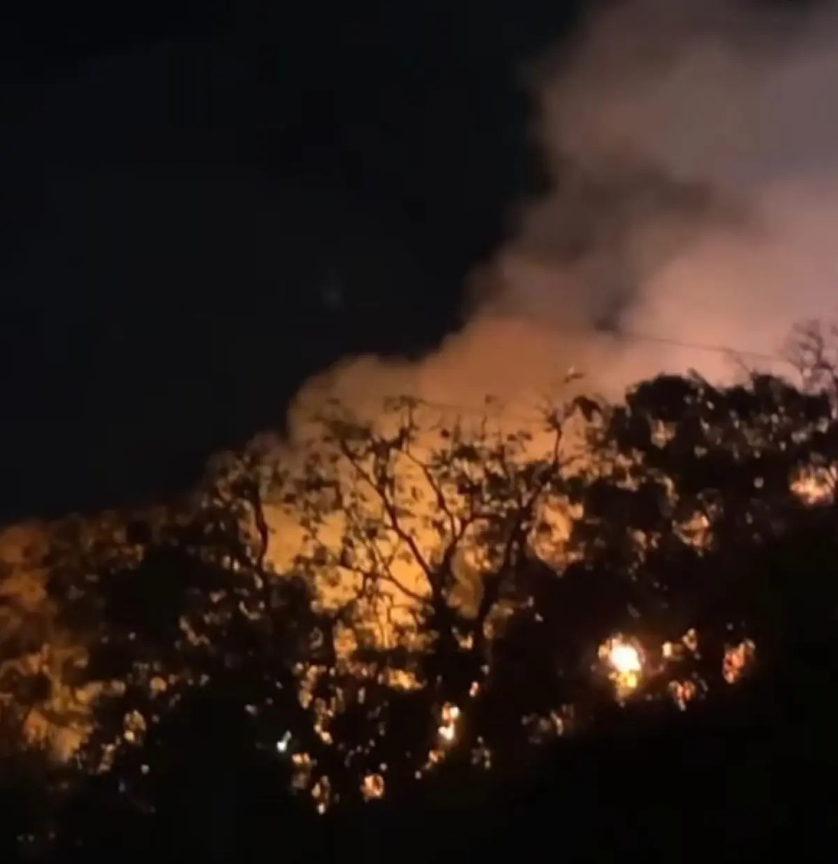 Chamas altas em vegetação foram combatidas pelos bombeiros na noite de sábado Foto reprodução de vídeo Portal Zap