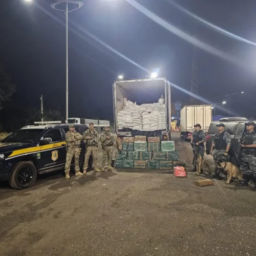Operação apreende mais de meia tonelada de cocaína em Goiás. Foto: PMGO