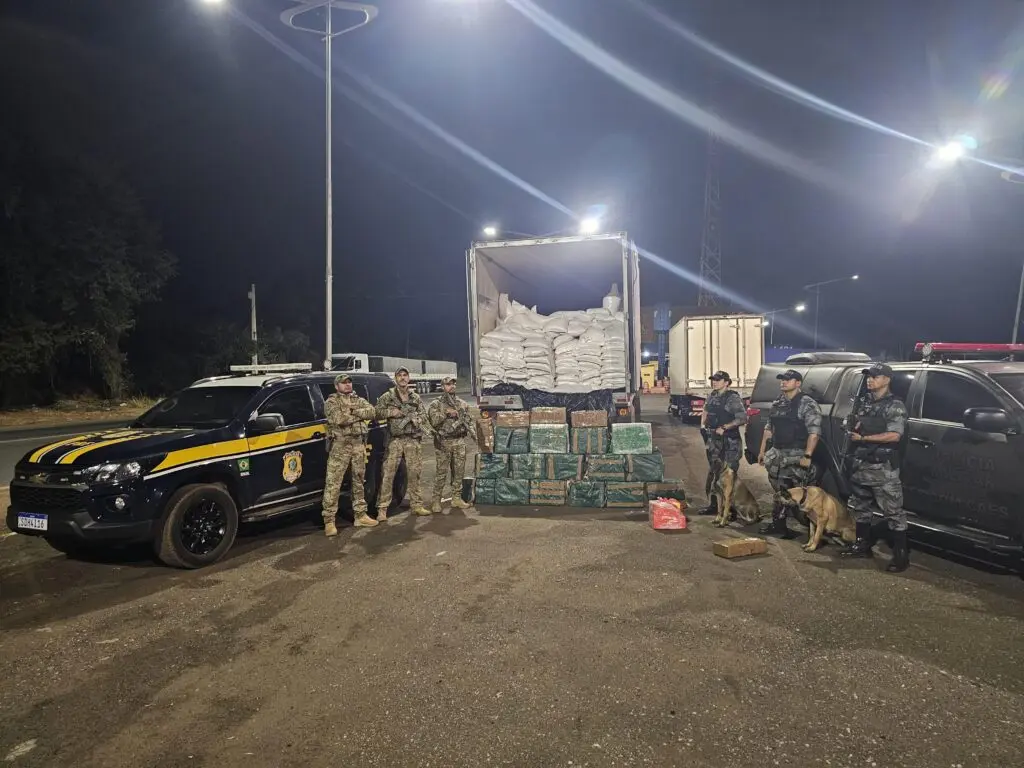 Operação apreende mais de meia tonelada de cocaína em Goiás. Foto: PMGO