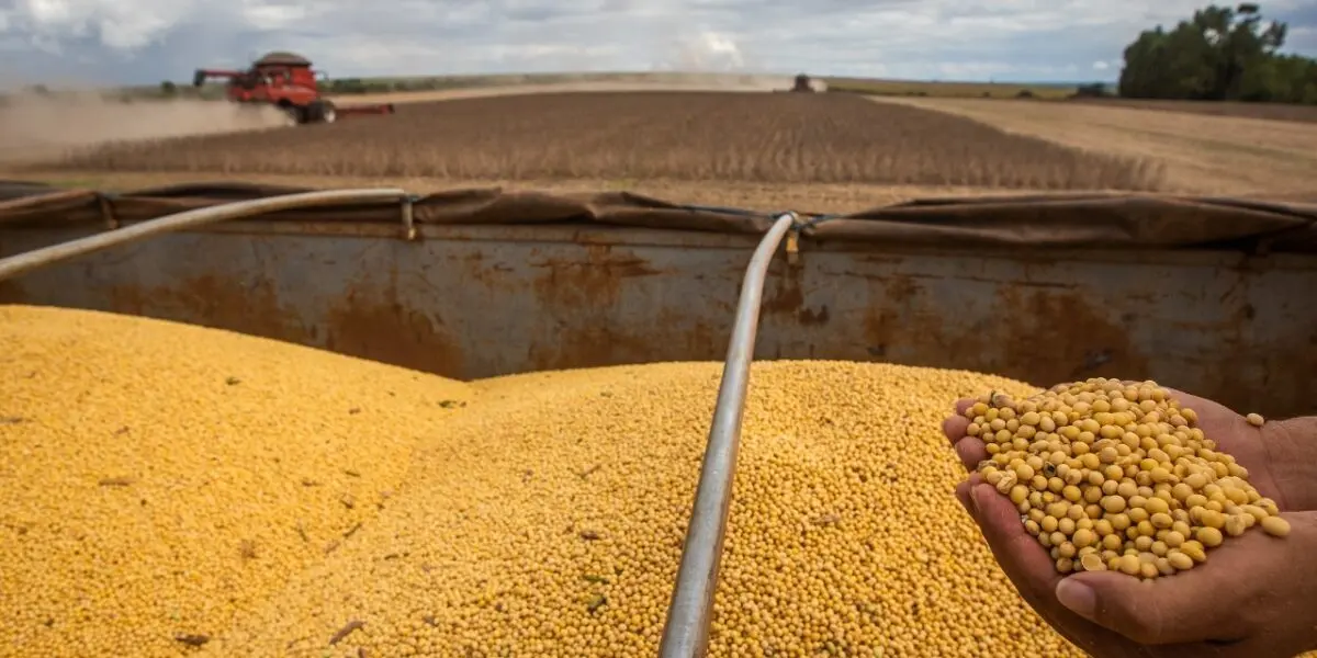 Exportações de produtos goianos em junho registrou superávit Foto Secom Goiás
