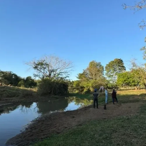 crime-ambiental-Palminopolis_Policia-Civil