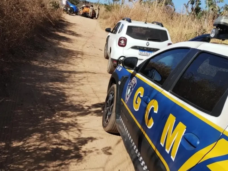 Corpo carbonizado é encontrado após queimada em bairro de Goiânia