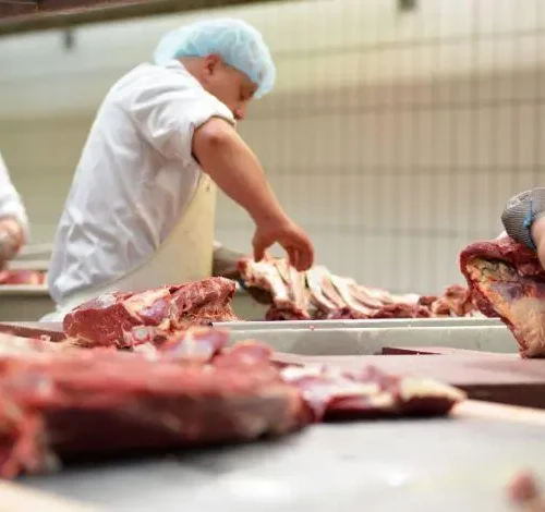 Tarifaço dos EUA exportações de carne