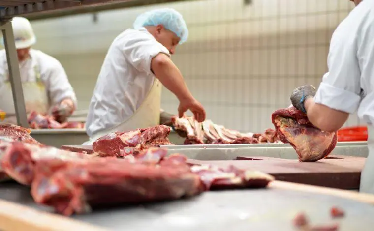 Tarifaço dos EUA exportações de carne