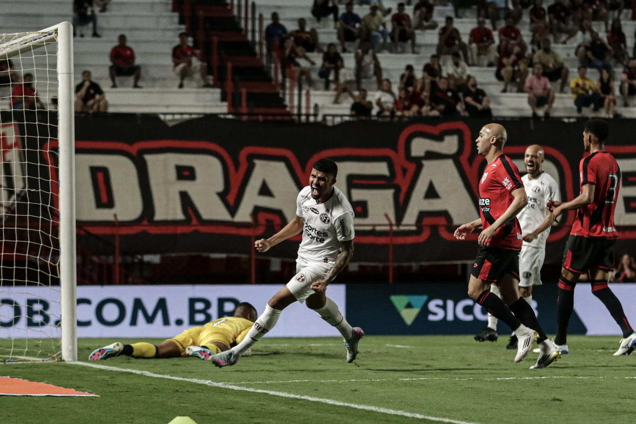 54727675659_bd1df40405_k