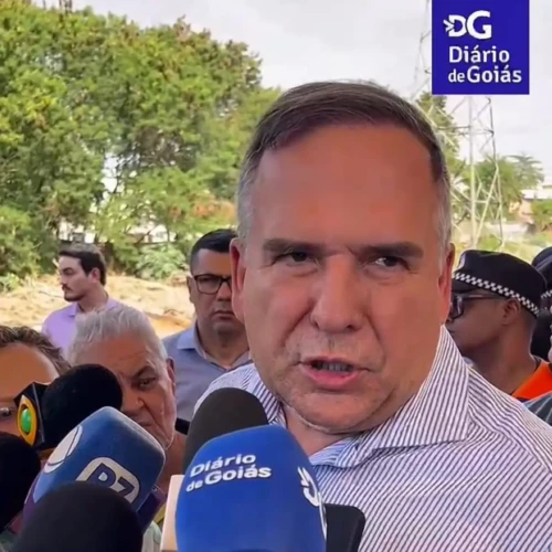 Mabel diz que mediu temperatura da grama sintética Foto DG